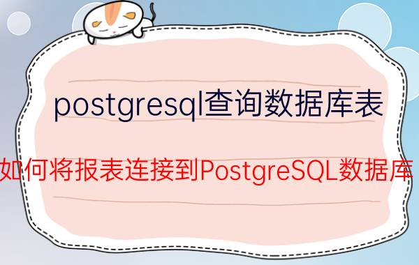 postgresql查询数据库表 如何将报表连接到PostgreSQL数据库？